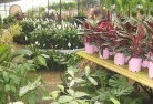 Brigalowplant-nursery-7.jpg; ?>